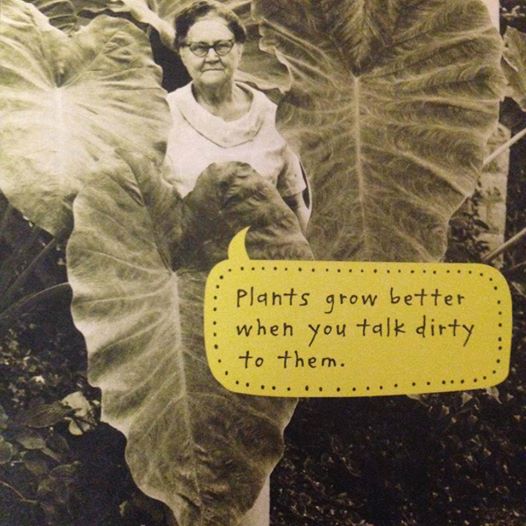 funny vintage lady woman plants dirty garden leaves